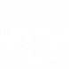 Forums
